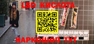 прущие крисы Бийск