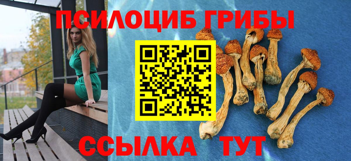 Псилоцибиновые грибы Psilocybe Златоуст