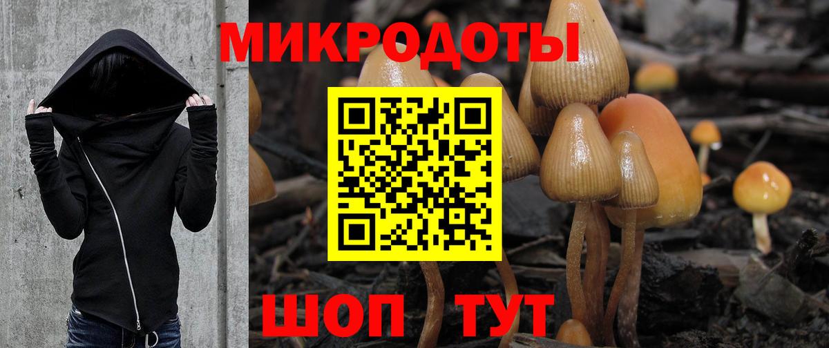Псилоцибиновые грибы Psilocybe  купить   Вход с VPN  Златоуст  Галлюциногенные грибы ЛСД 